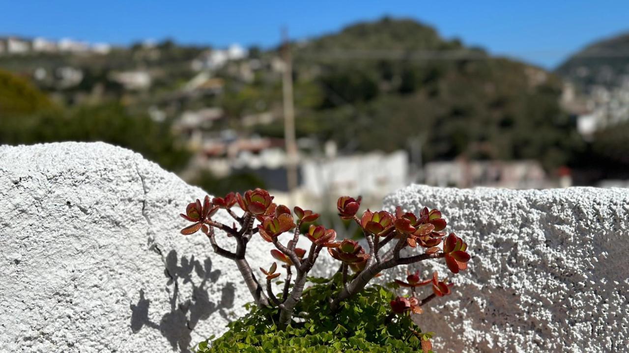 Villa La Milanina Lipari  Luaran gambar