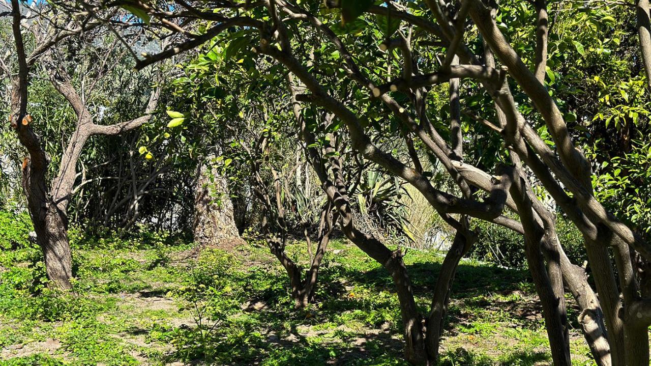 Villa La Milanina Lipari  Luaran gambar